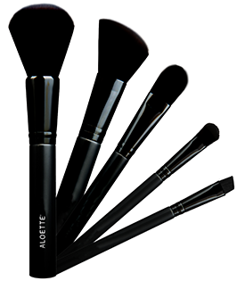 5pc Brush Set Fan