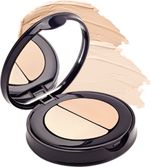 Conceal Away Duo